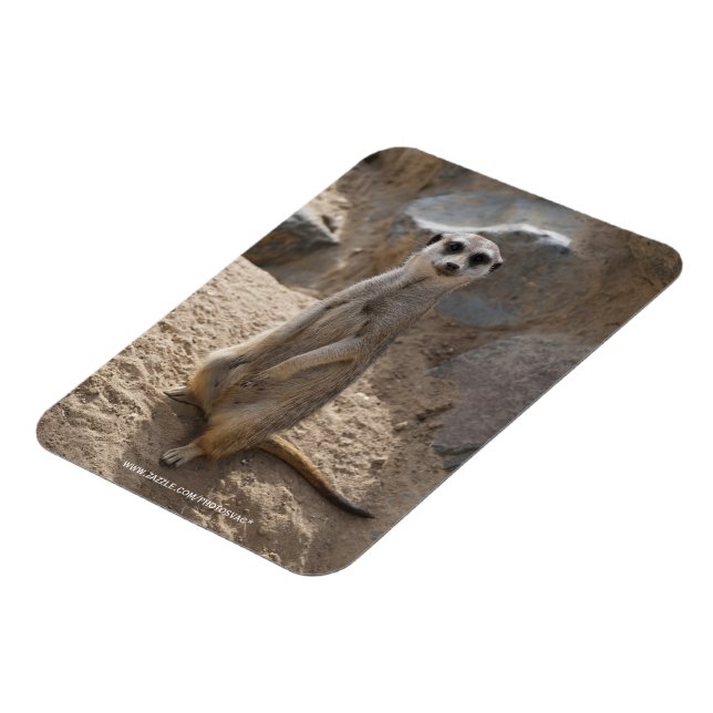 Magnet Flexible Magnifique suricate (Côté Gauche)