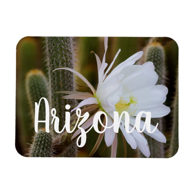 Magnet Flexible Mai dans le jardin, Arizona (Horizontal)