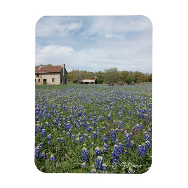 Magnet Flexible Maison du Texas célèbre Bluebonnets (Vertical)