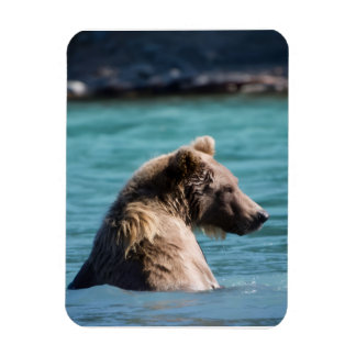 Magnet Flexible Majestic Alaskan Brown Bear