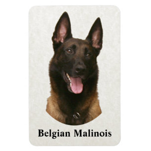 Magnet Flexible malinois belge