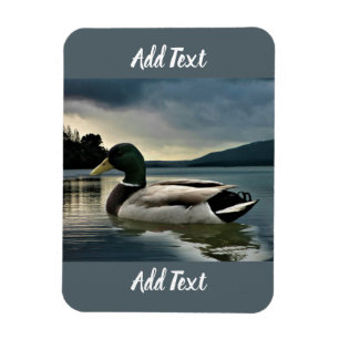 Magnet Flexible Mallard Duck