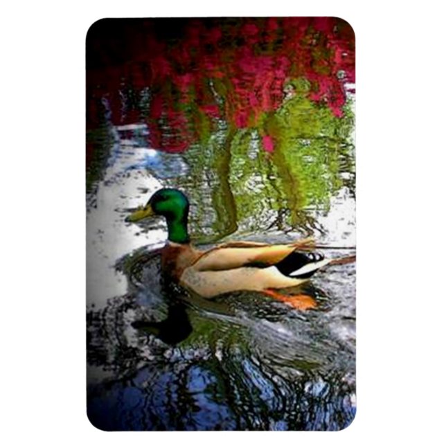 Magnet Flexible Mallard Duck (Vertical)