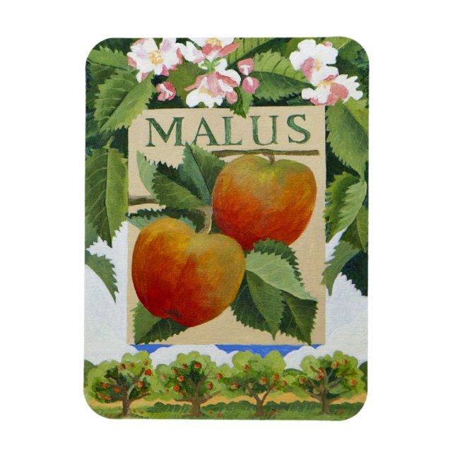 Magnet Flexible Malus (Vertical)