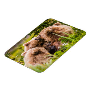 Magnet Flexible Mama bear nourrit ses deux petits, Lake Clark Nati