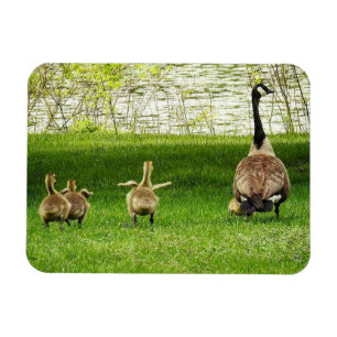 Magnet Flexible Mama Goose et Goofy Baby