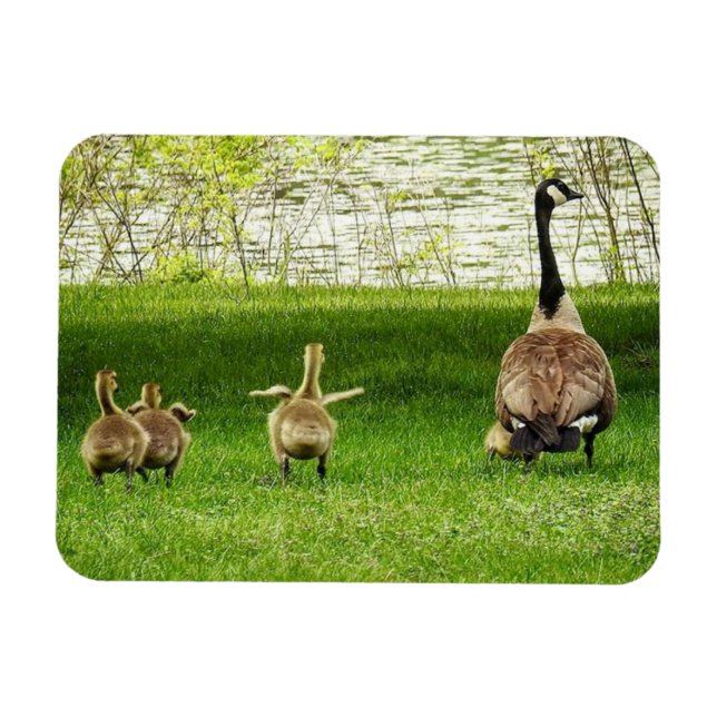 Magnet Flexible Mama Goose et Goofy Baby (Horizontal)