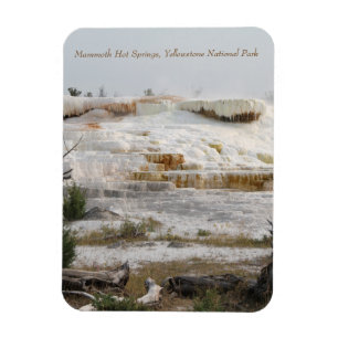 Magnet Flexible Mammoth Hot Springs, parc national Yellowstone
