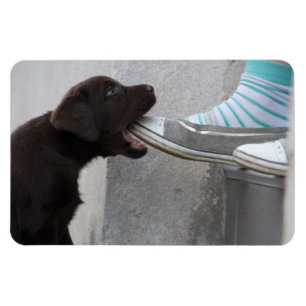 Magnet Flexible Mange Ma Chaussure ! Labrador Puppy