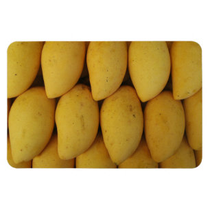 Magnet Flexible Mango