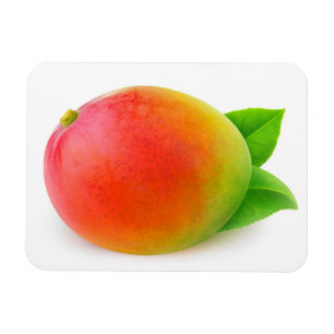 Magnet Flexible Mango