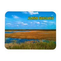 Marais de Floride, Herbe des marais, Ciel et refle