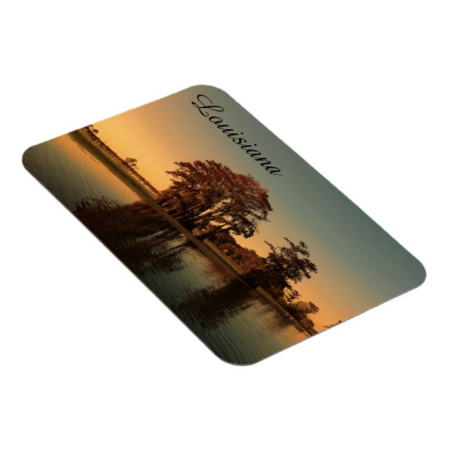 Magnet Flexible Marais de Louisiane (Côté Droit)