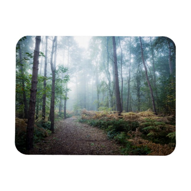Magnet Flexible Marche de la forêt de Misty (Horizontal)