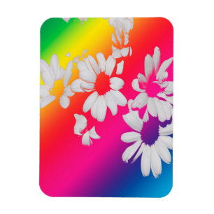 Magnet Flexible Margueurs arc-en-ciel