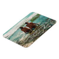 Mariage Lune de miel - Destination de script blanc