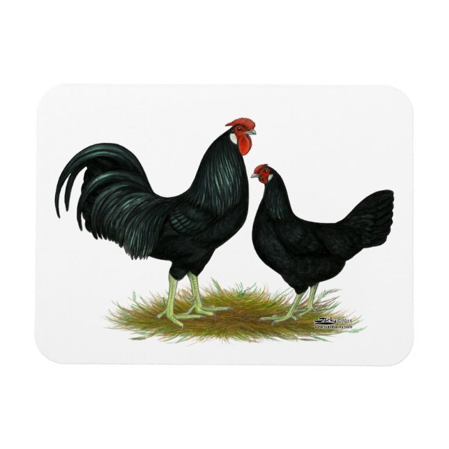 Magnet Flexible Marsh Daisy Chickens (Horizontal)