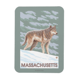 Magnet Flexible MassachusettsScène Wolf