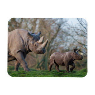 Magnet Flexible Maternité chez les rhinocéros