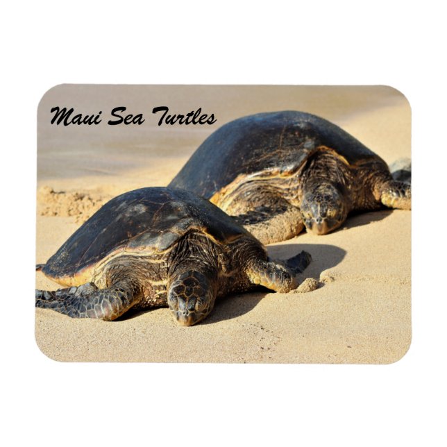 Magnet Flexible Maui Sea Turtles (Horizontal)