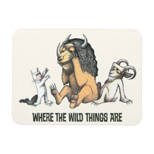 Magnet Flexible Max et les choses folles Jouer