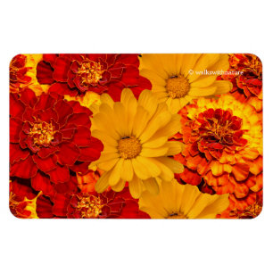 Magnet Flexible Médaille des Marigolds rouge jaune et orange