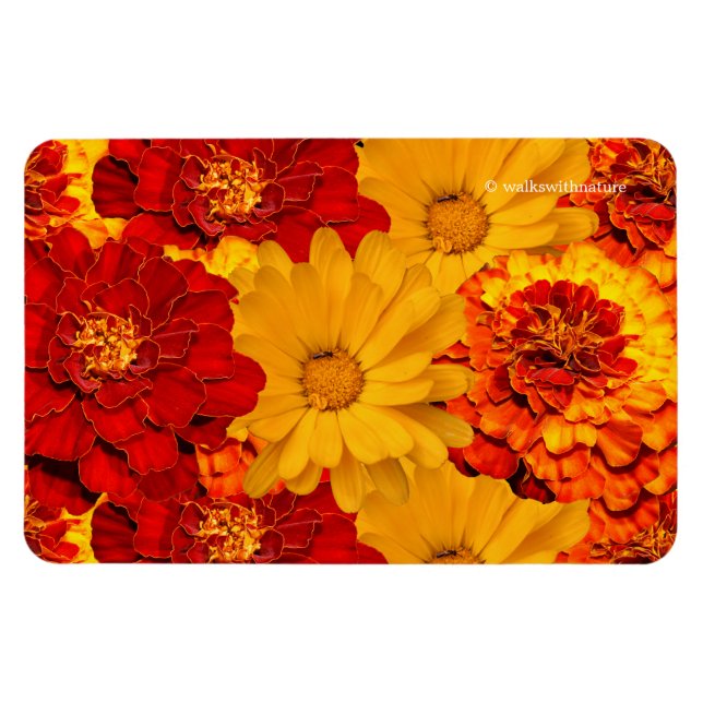 Magnet Flexible Médaille des Marigolds rouge jaune et orange (Horizontal)