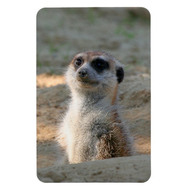 Magnet Flexible Meerkat 004 (Vertical)