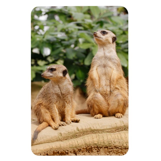 Magnet Flexible Meerkat 009 (Vertical)