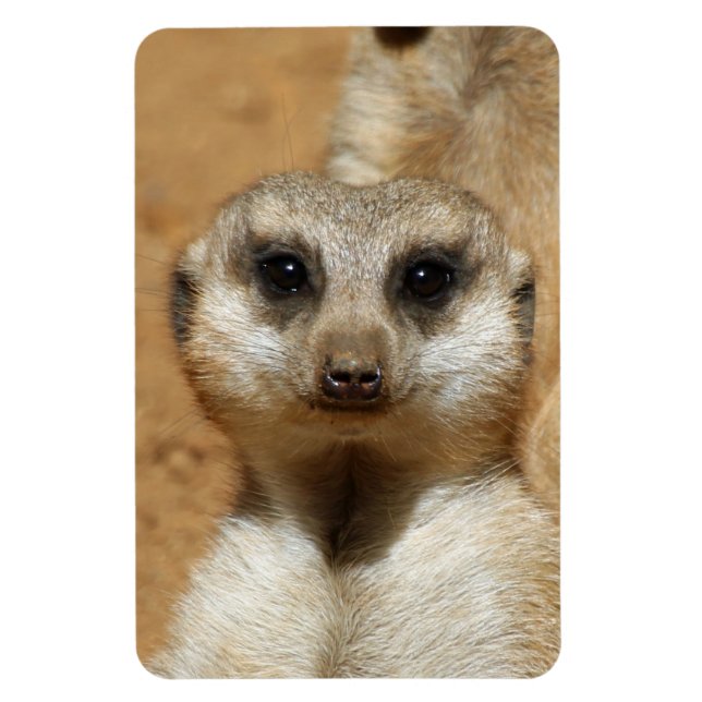 Magnet Flexible Meerkat 016 (Vertical)