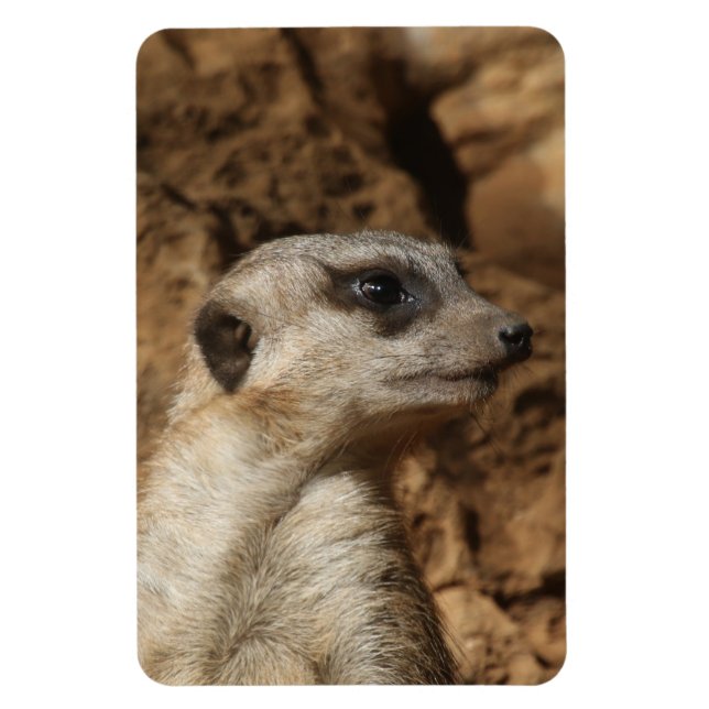 Magnet Flexible Meerkat 029 (Vertical)