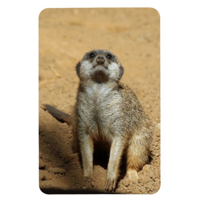 Magnet Flexible Meerkat 031 (Vertical)