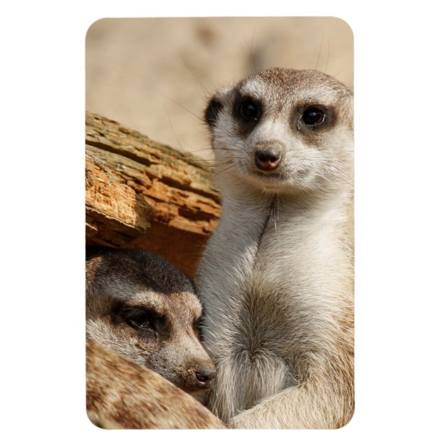 Magnet Flexible Meerkat 042 (Vertical)
