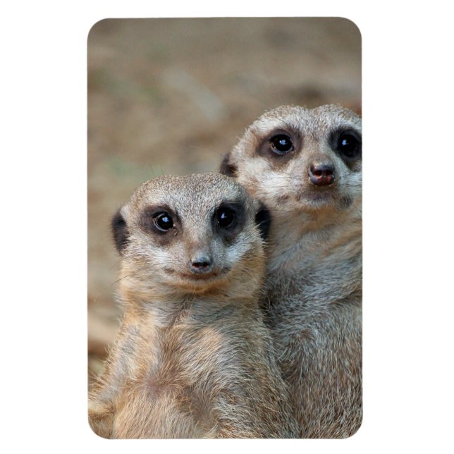 Magnet Flexible Meerkat 047 (Vertical)