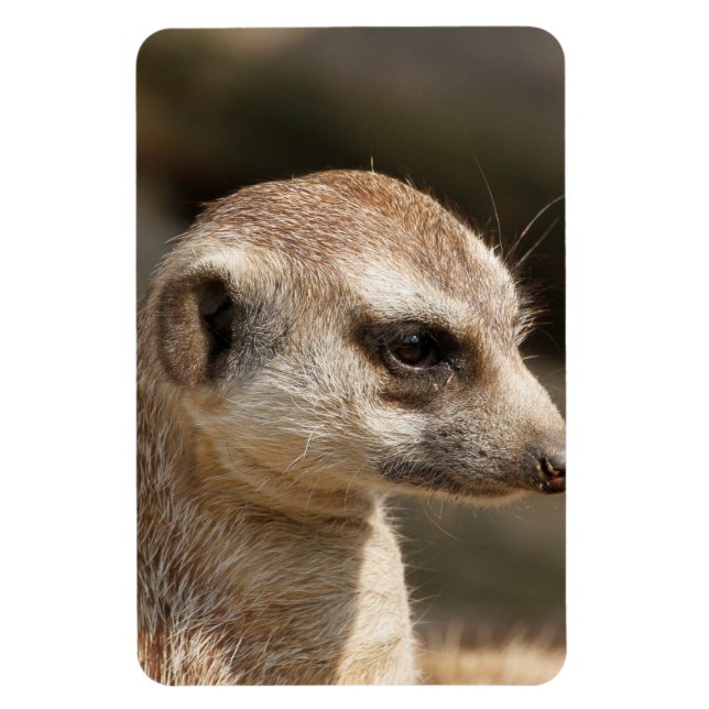 Magnet Flexible Meerkat 048 (Vertical)