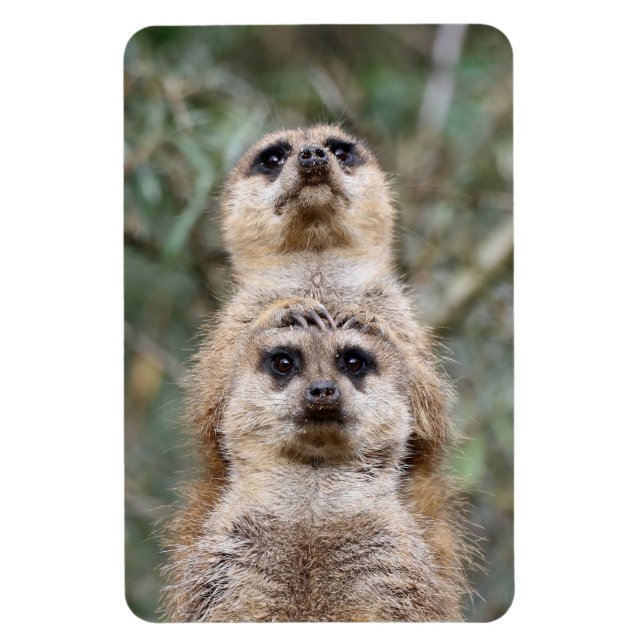 Magnet Flexible Meerkat 081 (Vertical)