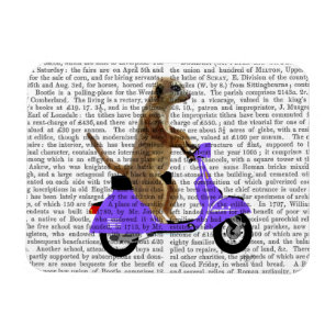 Magnet Flexible Meerkat on Lilac Moped