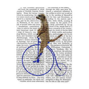 Magnet Flexible Meerkat sur le quart de penny bleu de penny