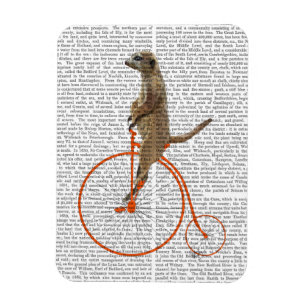 Magnet Flexible Meerkat sur Orange Penny Farthing
