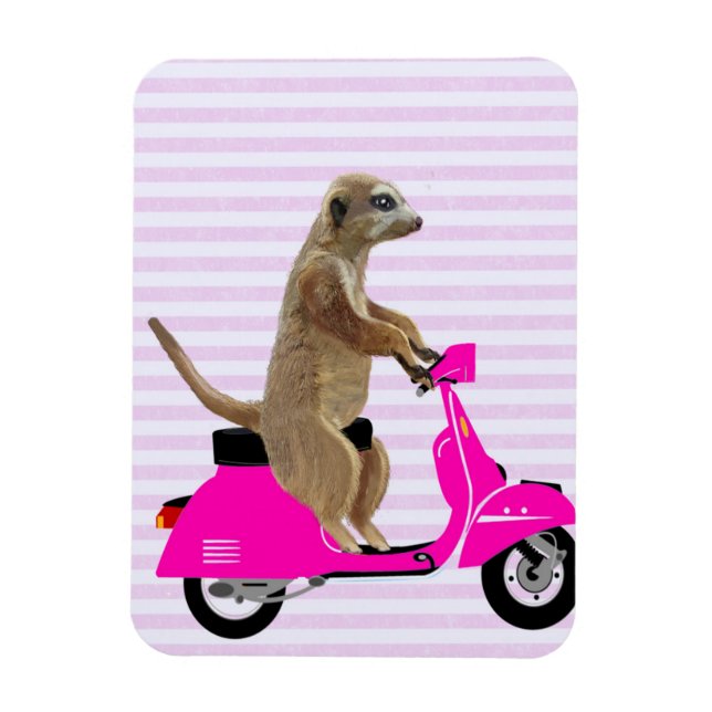 Magnet Flexible Meerkat sur Pink Moped 2 (Vertical)