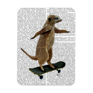 Magnet Flexible Meerkat Sur Skateboard 2