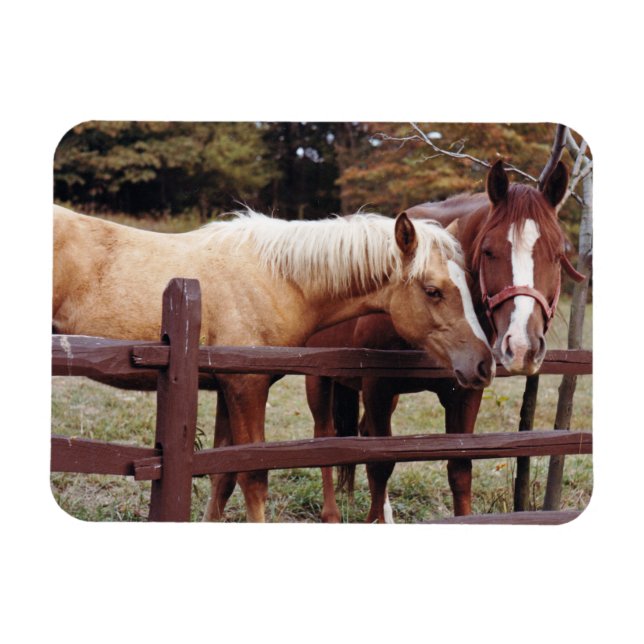 Magnet Flexible Meilleurs amis (Horizontal)