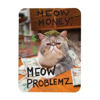 Magnet Flexible Meow Money, Meow Problemz