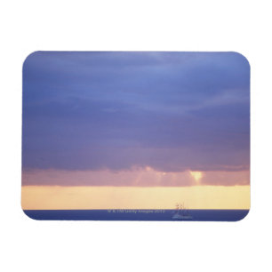 Magnet Flexible Mer 4
