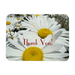 Magnet Flexible Merci ! aimants premium Fleurs de Marguerite Margu