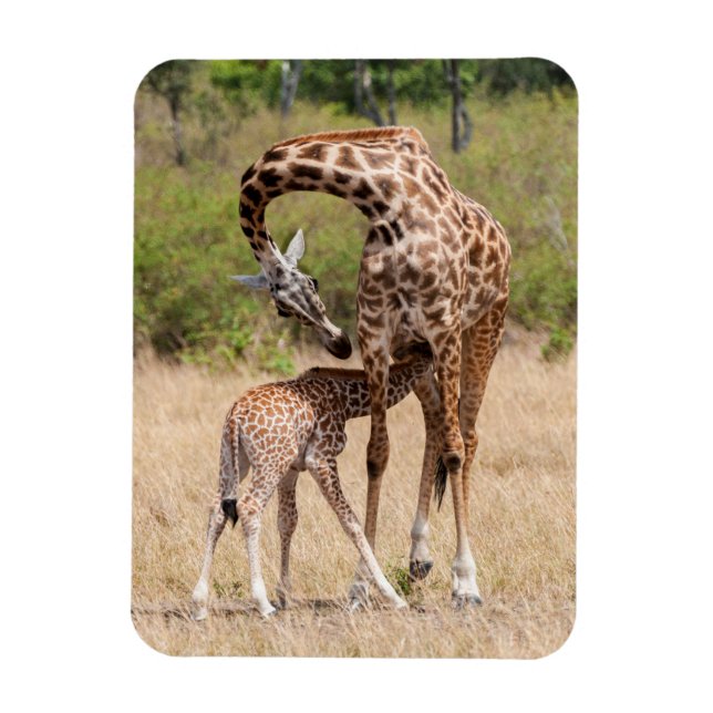Magnet Flexible Mère girafe et bébé au Kenya (Vertical)