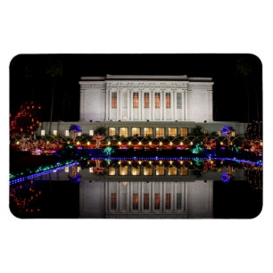 Magnet Flexible Mesa Temple réflexion