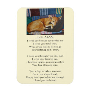Magnet Flexible message de sympathie original pour chien