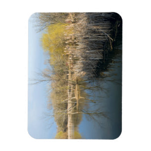 Magnet Flexible Métaux roseaux et arbres dans l'ouest de Saint Pau