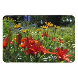 Magnet Flexible Mi jardins colorés d'été !